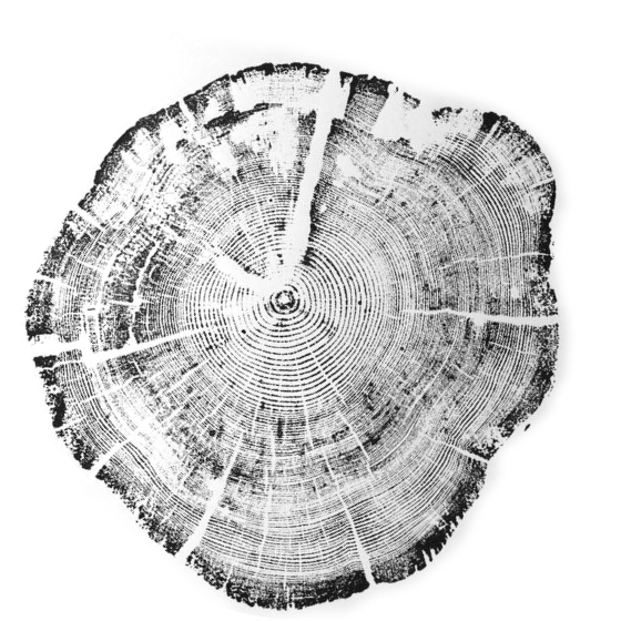 ellipse51x